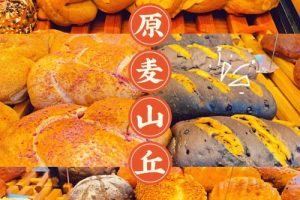 原麦山丘技术~（山丘科技创新）
