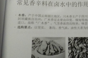 李建辉酱料文档资料~（李建辉调味料信息）