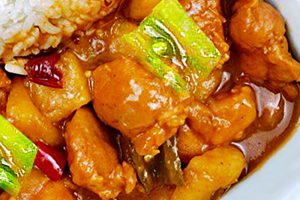 黄焖鸡腿盖浇饭.flv~（美味烤鸡餐盒）