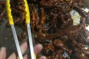 黑鸭总文件~（秘密文件黑鸭）
